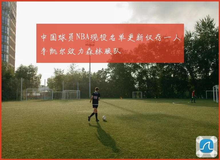 中国球员NBA现役名单更新仅存一人李凯尔效力森林狼队