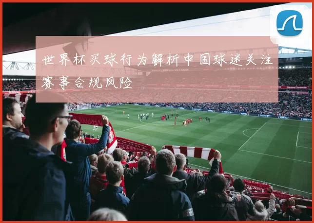 世界杯买球行为解析中国球迷关注赛事合规风险